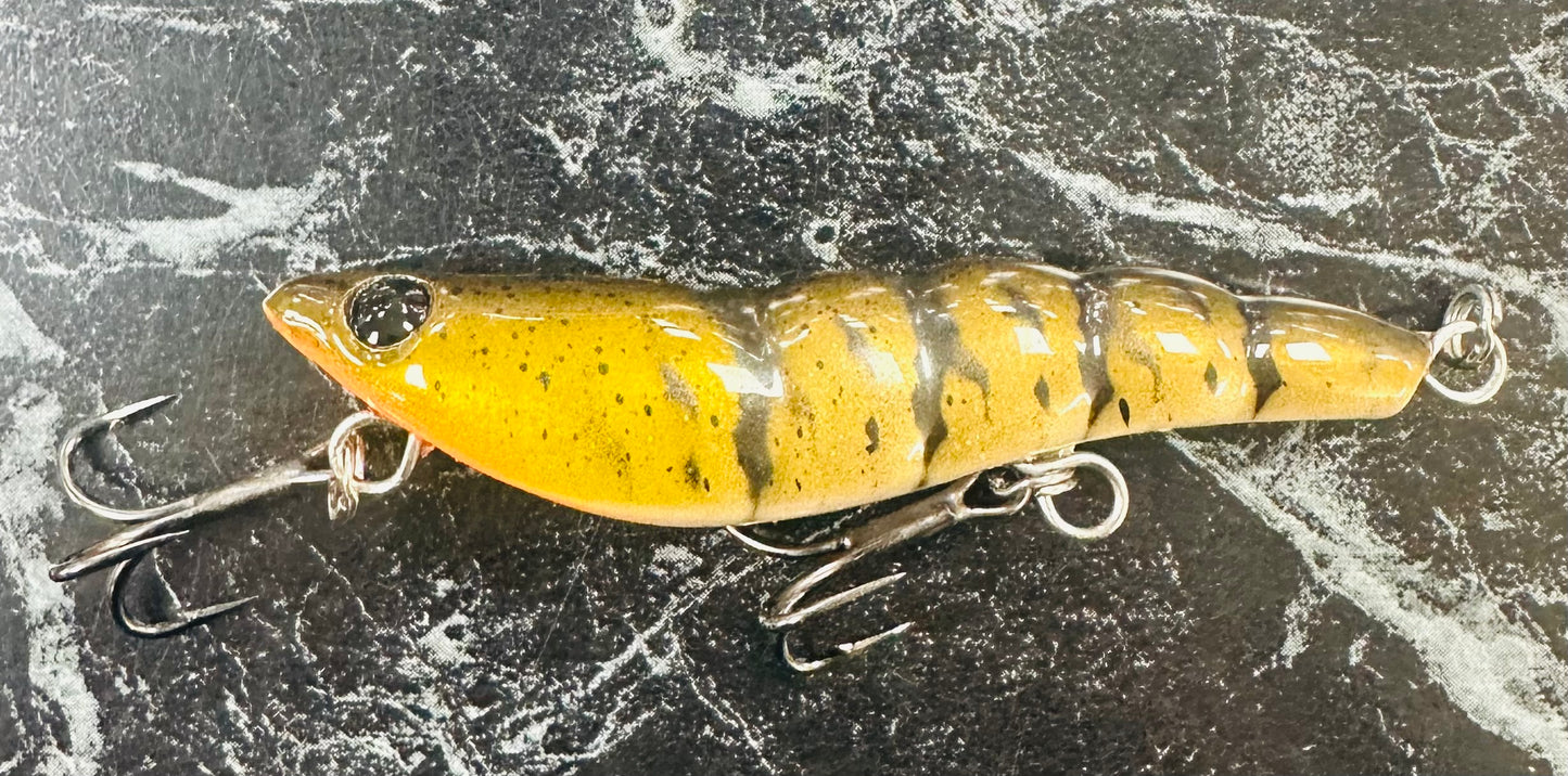 River Walker Prawn
