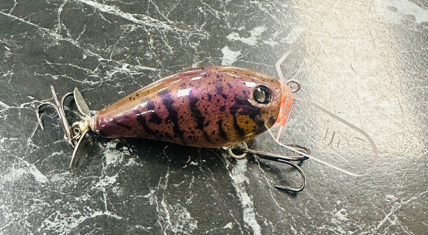 Creek Rodent