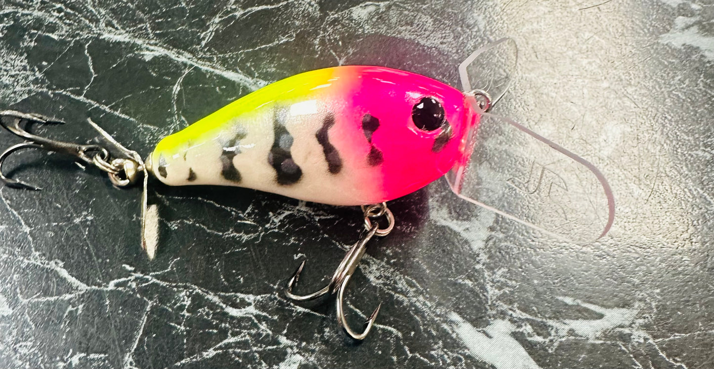 Creek Rodent