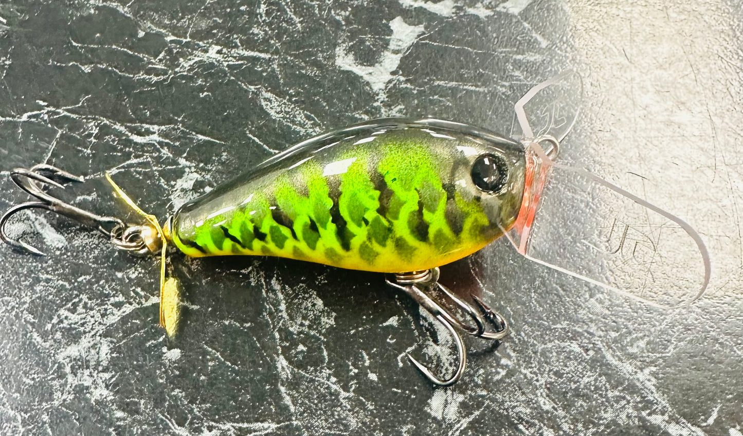 Creek Rodent