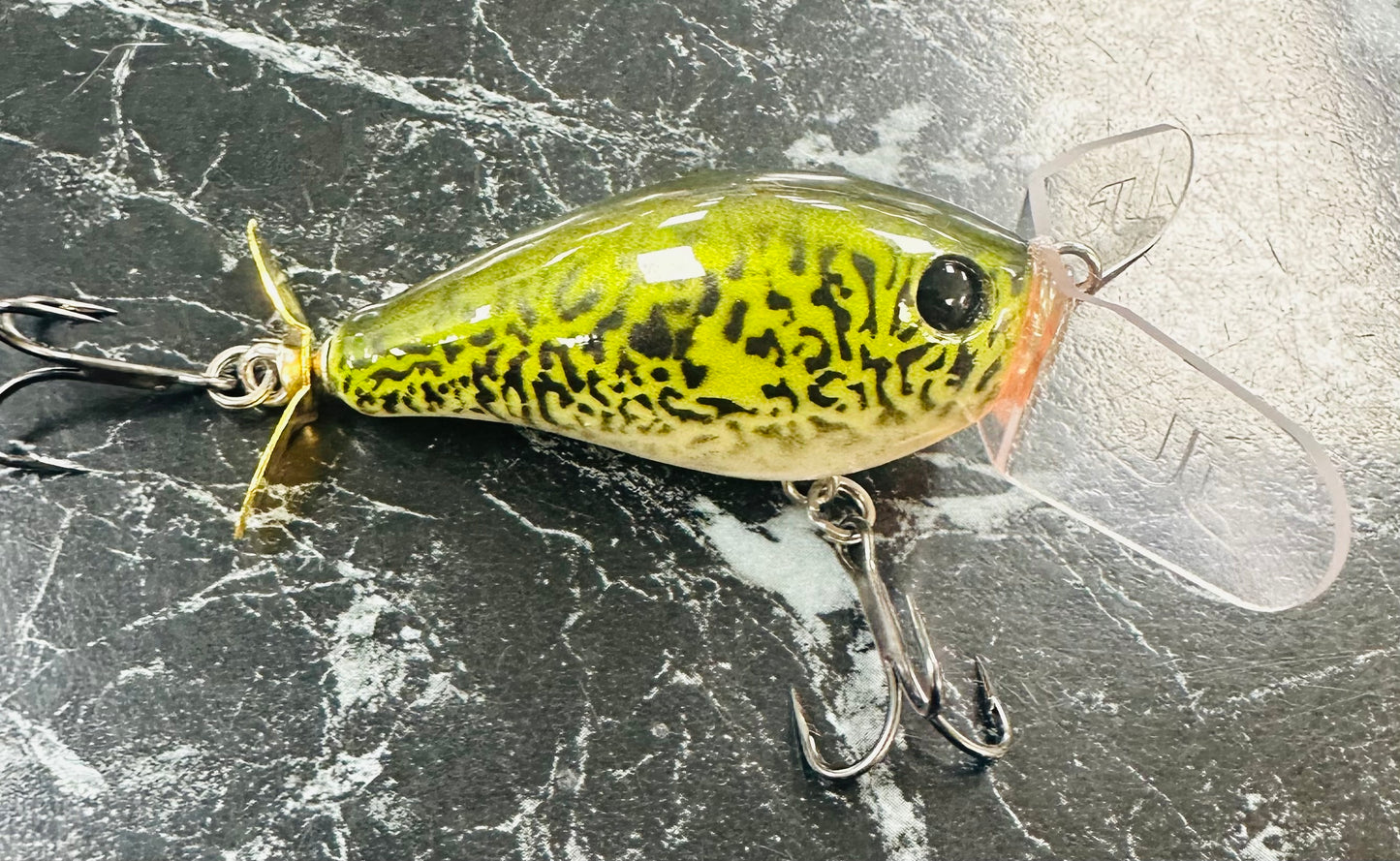 Creek Rodent