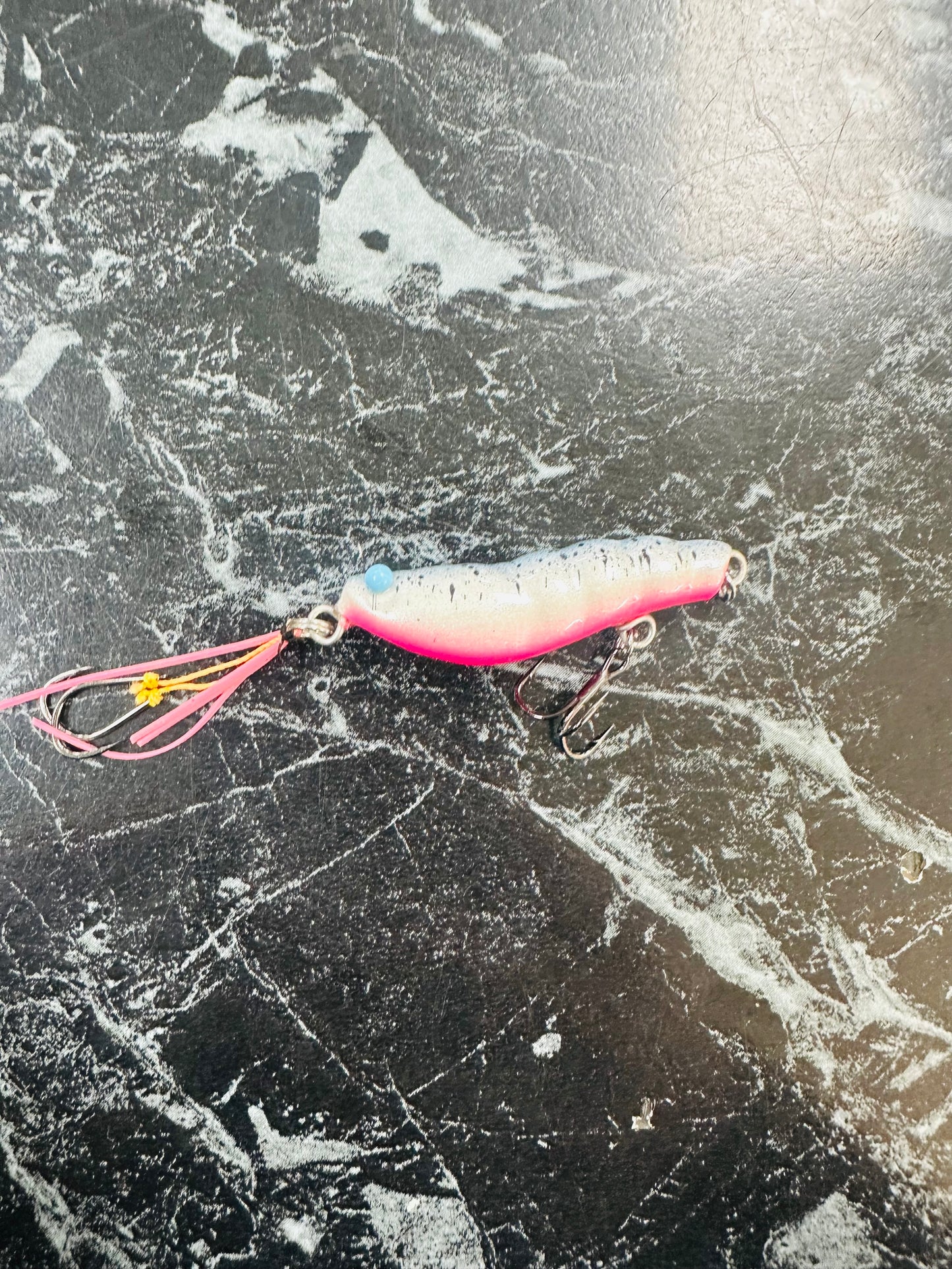 Creek Walker Prawn