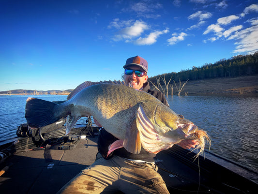 Glenlyon Dam Murray Cod Guide